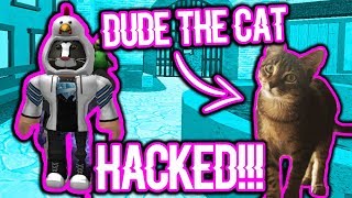 DUDE THE CAT HACKED MY ROBLOX ACCOUNT!!!