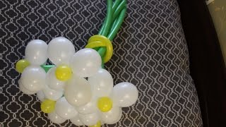 Фигуры из воздушных шаров. Как сделать ромашку из воздушных шаров?