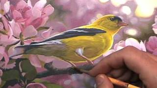 Learn to Paint "Touch Of Gold" Art Instruction dvd by Derek C Wicks