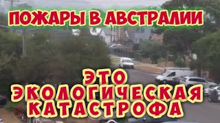 Пожары в Австралии 2020 .1700 домов ,полмиллиарда животных,больше 20 людей погибли в огне.Всё в дыму