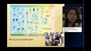 Summer School of Democracy | A.Kirilenko (Rus)