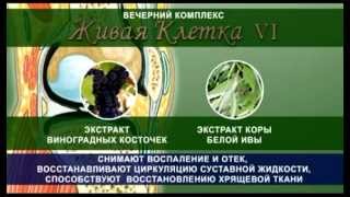 «Живая Клетка VI» - надежная защита суставов от корпорации Сибирское здоровье!!!