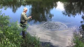 VoblerFish: воблер TsuYoki RODGER 86F