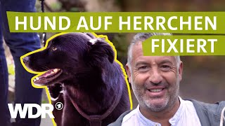 Wenn der Hund Distanz braucht | Hunde verstehen (5) | Tierratgeber | WDR