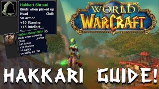 BEST twink items?! - Hakkari Shroud and Breastplate - Will it be in Classic WoW??!