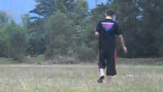 Align Trex450...3D 2nd crash