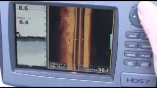 Lowrance LSS-1 StructureScan - панорамный обзор подводного мира