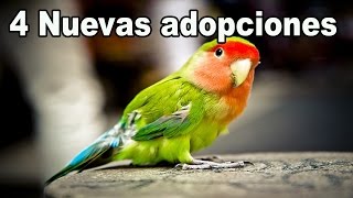 NUEVA MASCOTA ? EL MEJOR REGALO SORPRESA!!