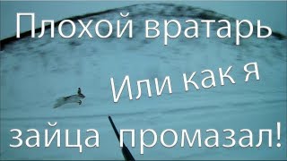 Охота на зайца.Плохой вратарь или как я зайца промазал!/Bad goalkeeper or how I missed a hare!