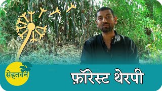 What is Forest Therapy ? | Dr. Vipin Gupta