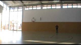 T-Rex 450 TESTFLUG INDOOR
