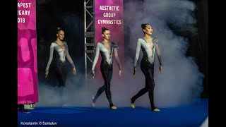 Чемпионат мира 2018 по эстетической гимнастике??