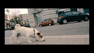 Il Mago - Quando Guardo Gli Occhi Tuoi (Official Video)
