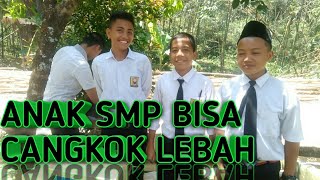 SMP Sudah Berani Ternak Lebah Anda Kapan ??