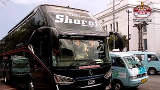 "Sharai" - Gagah Dan Terkeren di Terminal Tj Priok - SUDIRO TUNGGA JAYA