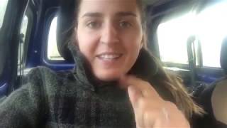 свиноматка готовиться к опоросу