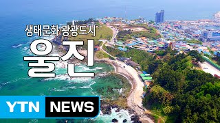 생태문화 관광도시 '울진' / YTN