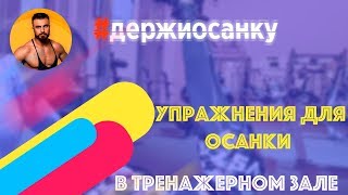 Как Исправить Осанку в Тренажерном Зале