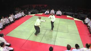 VIET VU DAO ART MARTIAUX MASTER 2012_part2