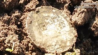 Поиск сокровищ.Коп.Серебрянные монеты.Minelab safari.