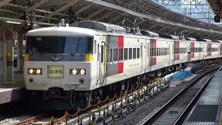 【上野東京ライン 乗務員訓練】JR東日本185系大宮車・E233系3000番台国府津車　御徒町・秋葉原・東京