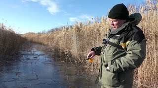 Первый лёд. Щука на Раттлины и Балансиры. Зимняя рыбалка 2018
