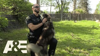 Live PD: A Cop's Best Friend (Season 3) | A&E