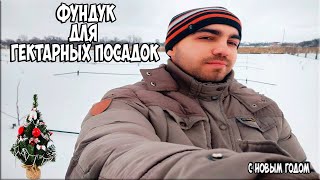 Фундуковый сад как бизнес идея! Сорта фундука для гектарных масштабов