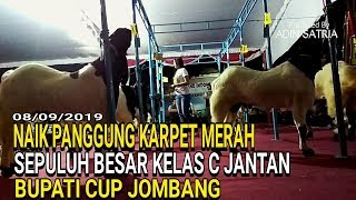 Kontes Kambing PE Nasional Bupati Cup Jombang Inilah Sepuluh Besar Kelas C Jantan Naik Karpet Merah
