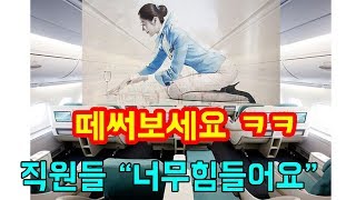 현재 논란중인 대한항공 떼쓰기 사건 정리