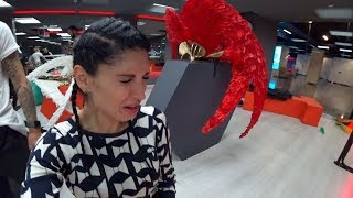 Москва Крокус качков учат ходить как моделей это жесть  ! ))