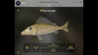 Russian Fishing 4 Река Вьюнок. Трофейные точки.