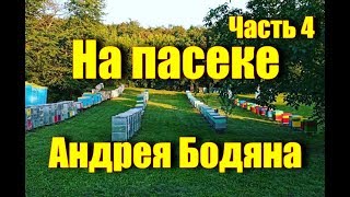 На пасеке Андрея Бодяна - Летний визит /Часть четвертая/