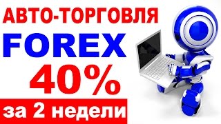 Робот для заработка творит чудеса!