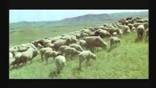 Yurakka yaqin qo'shiqlar: Eng gullagan yoshlik chog'imda