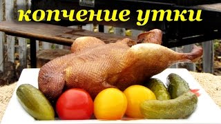 Рецепт копчения утки горячим способом