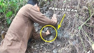 Ternyata di Lubang kecil ini tempat SARANG LEBAH MADU