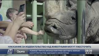 Наказание за издевательство над животными могут ужесточить в Украине