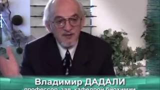 Зачем нужны витамины, какие витаминные комплексы лучше принимать, как выбрать лучшие поливитамины