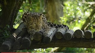 Zoo des Sables d'Olonne