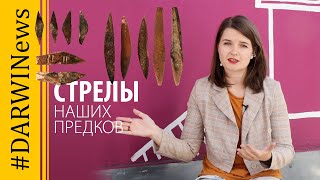 Дальнобойное оружие наших предков. Елена Сударикова. 
