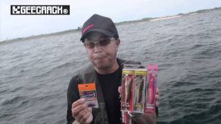 シャローティップラン解説動画