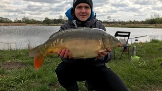 Piękny Karp na Method Feeder. Zestaw do Białych Robaków | Orońsko | Fishing Show