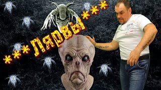 Кто такие лярвы.  Как мы их создаем.  Виктан.