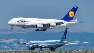 Plane Spotting at San Francisco Airport (SFO) | STUNNING Heavy Arrivals - A350, A380, B777, B747...