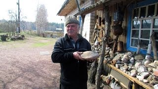 ЧУДО-КОЛЛЕКЦИОНЕР из Житомирщины и его музей под открытым небом