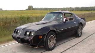 1981 Pontiac TA