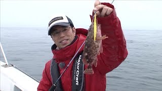 ハマチと根魚を狙え！日本海でライトジギング！/四季の釣り/2014年4月4日OA