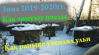 26.01. Зимуем:)  Как раньше утеплял ульи.