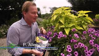 Reminder to Feed Your Container Gardens